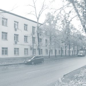 Добролюбова д.6 стр.1